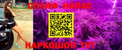 бошки Новокубанск