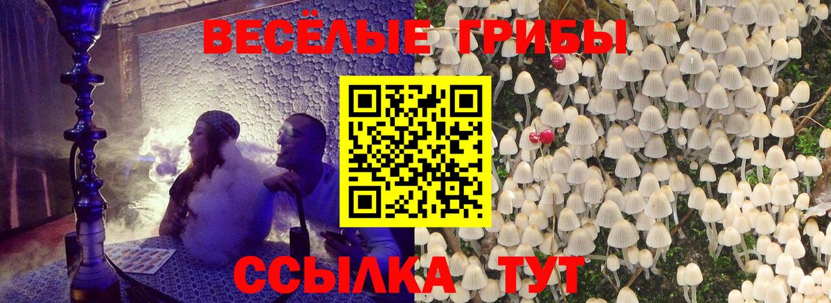 Сегежа  Псилоцибиновые грибы MAGIC MUSHROOMS  Вход с VPN 