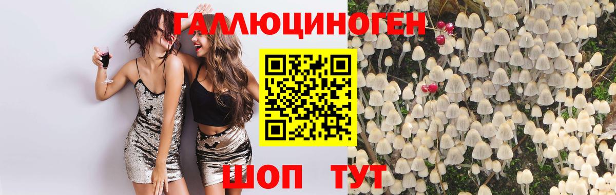 Псилоцибиновые грибы MAGIC MUSHROOMS Сегежа